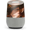 Halloween Pumpkin Witch with Fox by Ivy Dolamore Google Home Skin